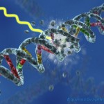تخریب DNA به وسیله امواج الکترومغناطیس