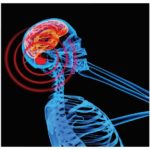 اثرات بیولوژیکی امواج الکترومغناطیس