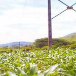 دکل های فشار قوی برق - تولید امواج الکترومغناطیس