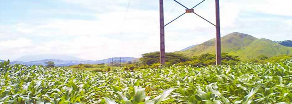 دکل های فشار قوی برق - تولید امواج الکترومغناطیس