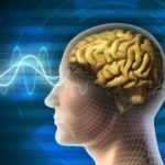 ارتباط مستقیم 7191 مرگ بر اثر سرطان با امواج ناشی از تلفن های همراه