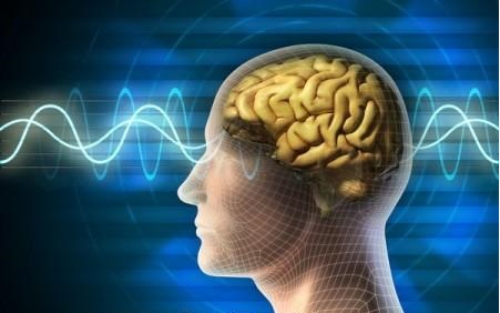 ارتباط مستقیم 7191 مرگ بر اثر سرطان با امواج ناشی از تلفن های همراه